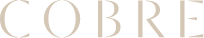 Logo Lares